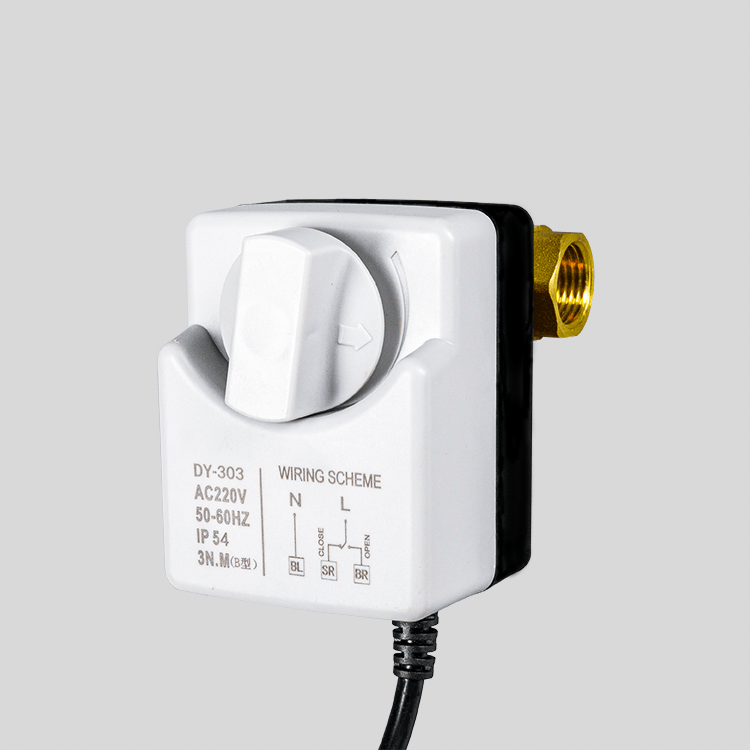 Dy-303 Small size corrosion-resistant hand-in-one electric ball valve 220V