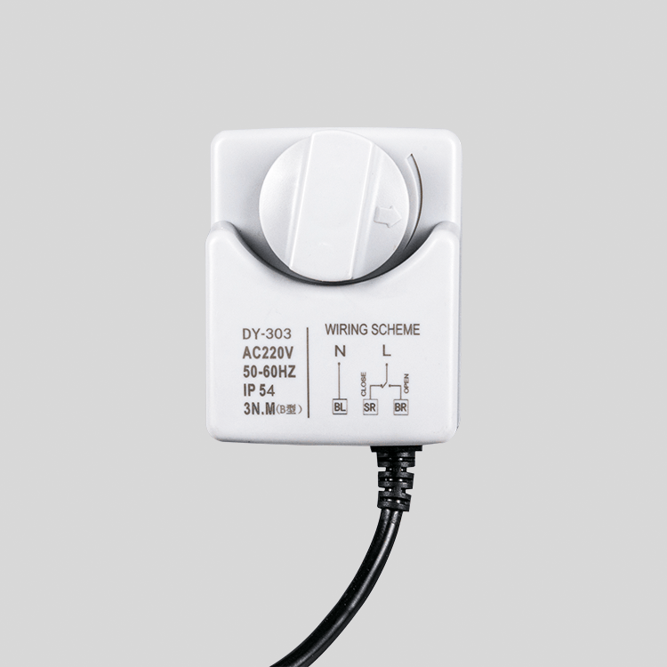 Dy-303 Small size corrosion-resistant hand-in-one electric ball valve 220V