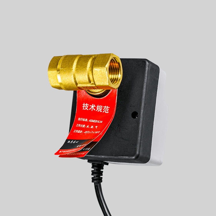 Dy-303 Small size corrosion-resistant hand-in-one electric ball valve 220V