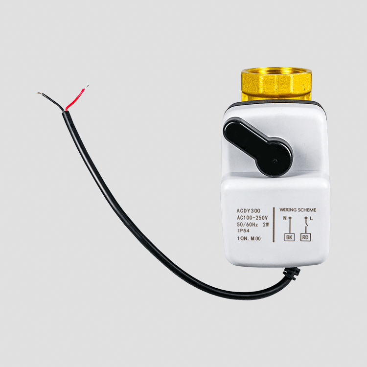 Dy-303 Small size corrosion-resistant hand-in-one electric ball valve 220V