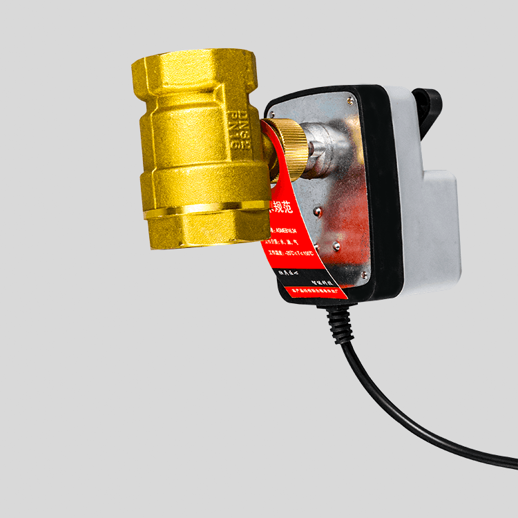 Dy-303 Portable hand-in-one electric ball valve